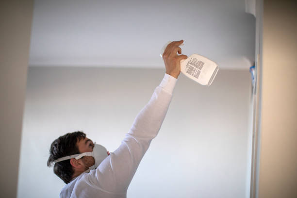 Best Office Mold Removal Services  in Ambridge, PA