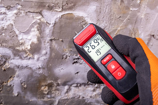 Best Emergency Mold Removal  in Ambridge, PA