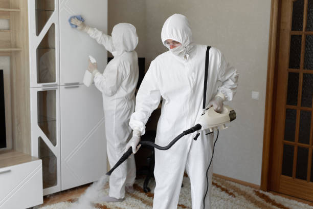 Best Toxic Mold Removal  in Ambridge, PA